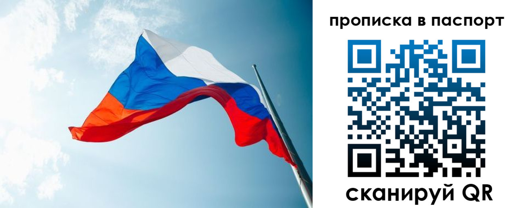 временная прописка в Ногинске